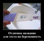 Прикрепленное изображение: Тест на беременность.jpg