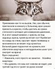 Прикрепленное изображение: 1776072566.jpg