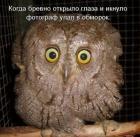 Прикрепленное изображение: _______6oF9oLGTnPs.jpg