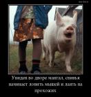 Прикрепленное изображение: 24202(1).jpg