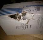 Прикрепленное изображение: WCrkQxSWMhU.jpg