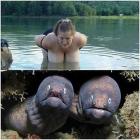 Прикрепленное изображение: image.jpeg