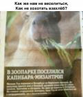 Прикрепленное изображение: zoo.jpg