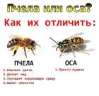 Прикрепленное изображение: 0KEMwvZo7xY.jpg