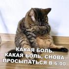 Прикрепленное изображение: H6P98BdJ9v4.jpg