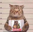 Прикрепленное изображение: QQ图片20190528032237.jpg