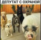 Прикрепленное изображение: 1590252925.jpg