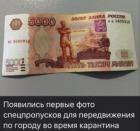 Прикрепленное изображение: C__Data_Users_DefApps_AppData_INTERNETEXPLORER_Temp_Saved Images_про-пропуска-scaled.jpg