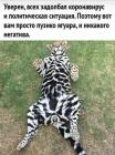 Прикрепленное изображение: IMG_20200512_114533_610.jpg