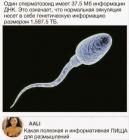 Прикрепленное изображение: IMG_20200526_111831_053.jpg