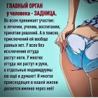 Прикрепленное изображение: IMG-20200522-WA0002.jpg