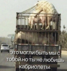 Прикрепленное изображение: Свинота - Это могли быть мы с тобой, но ты не любишь кабриолеты.png