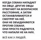 Прикрепленное изображение: Всё как у людей.jpg