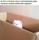 Прикрепленное изображение: Полон сил и энтузиазма для новой рабочей недели.jpg