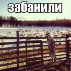 Прикрепленное изображение: забанили.jpg