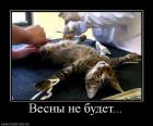 Прикрепленное изображение: Весны не будет.jpg