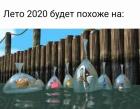 Прикрепленное изображение: Лето 2020.jpg