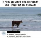 Прикрепленное изображение: О чем думает корова.jpg