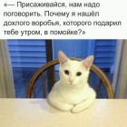 Прикрепленное изображение: 179987111_2182357670_2981749585429358_n.jpg