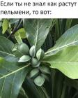 Прикрепленное изображение: 185073345_2977091925895124_5380861186598044637_n.jpg