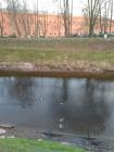 Прикрепленное изображение: IMG_20210502_203658_HHT.jpg