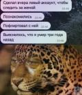 Прикрепленное изображение: FSwtMVSRRDg.jpg