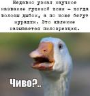 Прикрепленное изображение: rhkbbTUn6kI.jpg