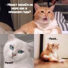 Прикрепленное изображение: 15561457.jpg