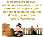 Прикрепленное изображение: 1651154569.jpg