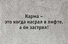 Прикрепленное изображение: 279737651_121430080521991_1790797922452063716_n.jpg