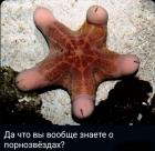 Прикрепленное изображение: 1684051525.jpg