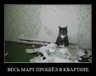 Прикрепленное изображение: Кот ободрал обои.jpg