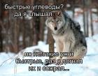 Прикрепленное изображение: Быстрые углеводы.jpg