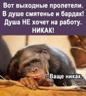 Прикрепленное изображение: Вот выходные пролетели.jpg