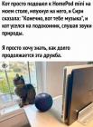 Прикрепленное изображение: Кот и Сири.jpg