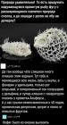 Прикрепленное изображение: Природа удивительна.jpg