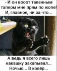 Прикрепленное изображение: Тапком по жопе.jpg