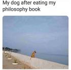 Прикрепленное изображение: lLwpQk8oyEA.jpg