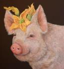 Прикрепленное изображение: or103a69.jpg