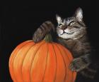 Прикрепленное изображение: halloween-cat-anastasiya-malakhova.jpg