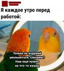 Прикрепленное изображение: Не вздумай увольняться.jpg
