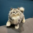 Прикрепленное изображение: pgt5vL4Iur8.jpg