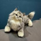 Прикрепленное изображение: gW9GSelV3kA.jpg