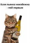 Прикрепленное изображение: 0BCJGeuiL9I.jpg
