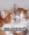 Прикрепленное изображение: 02.jpg