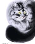 Прикрепленное изображение: n7j7M5HiCaWbfzJTS4P33FQAhmNkn9Ggbu6fCpmiadCIU50QLT.jpg