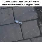Прикрепленное изображение: 687047238_122099759726485306_9054902115081747808_n.jpg