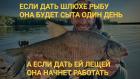 Прикрепленное изображение: IMG_20260517_134247.jpg