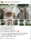 Прикрепленное изображение: 05.png