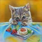 Прикрепленное изображение: biybffWD60A.jpg